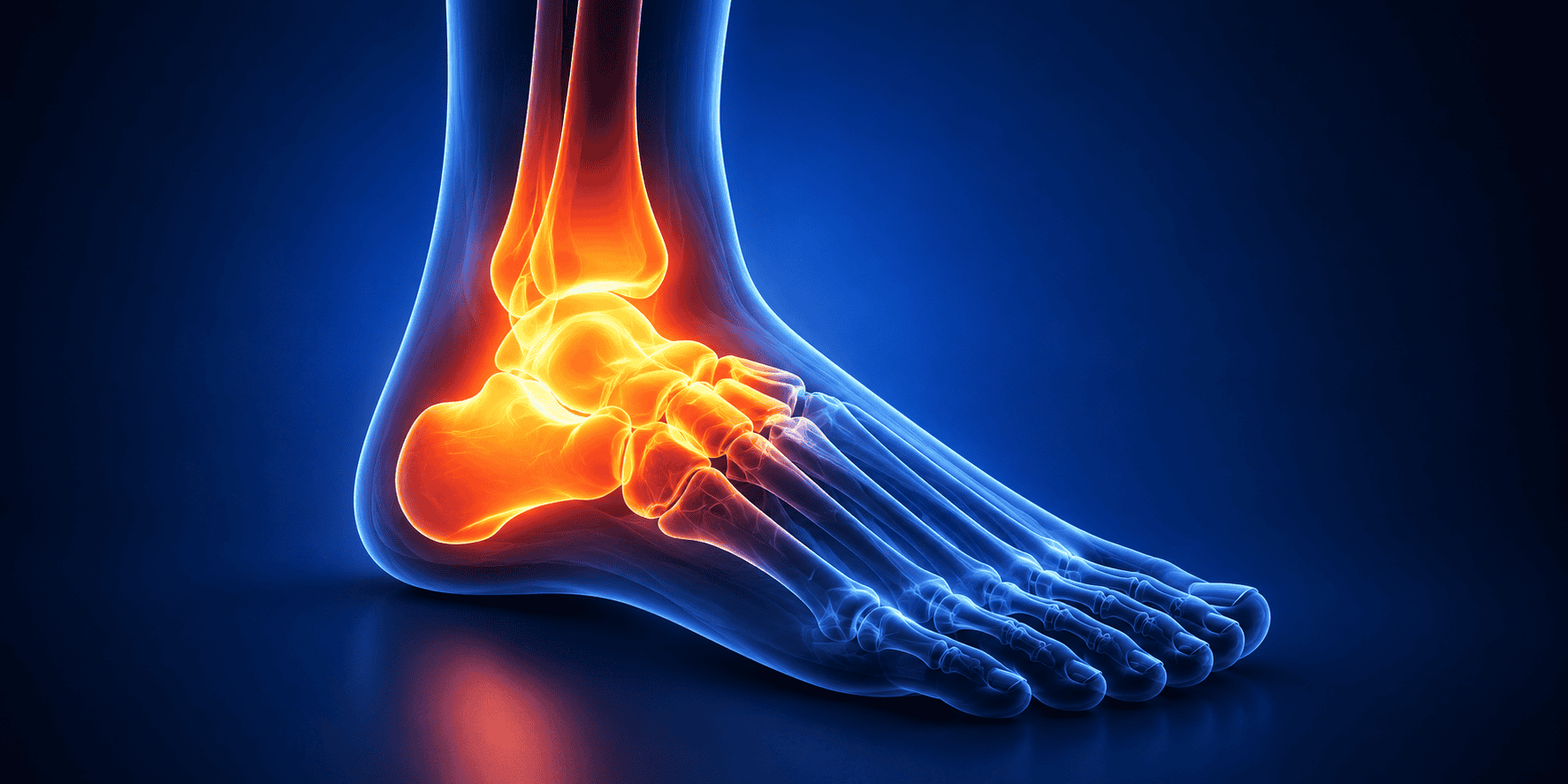 Anatomical illustration of foot and ankle pain areas, representing stem cell therapy for relief.
